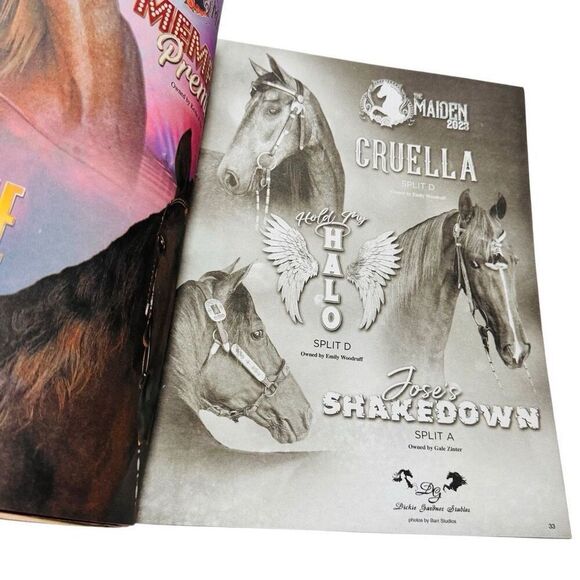 The Walking Horse Report -July 24 , 2023 CORNERSVILLE LIONS CLUB Grand Champ - Picture 7 of 7